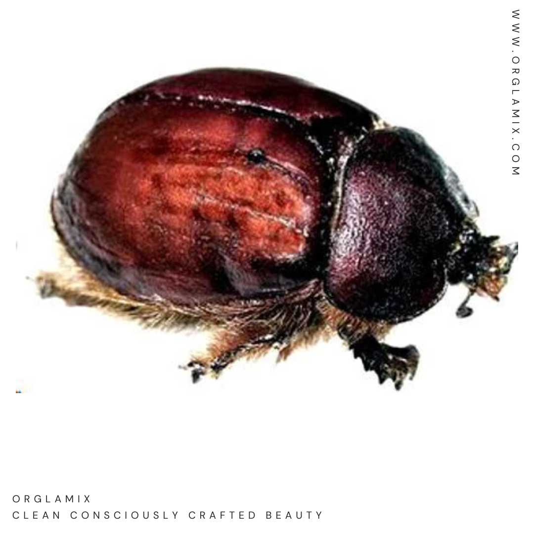 11 Ingredients You Definitely Don't Want in Your Makeup | Orglamix