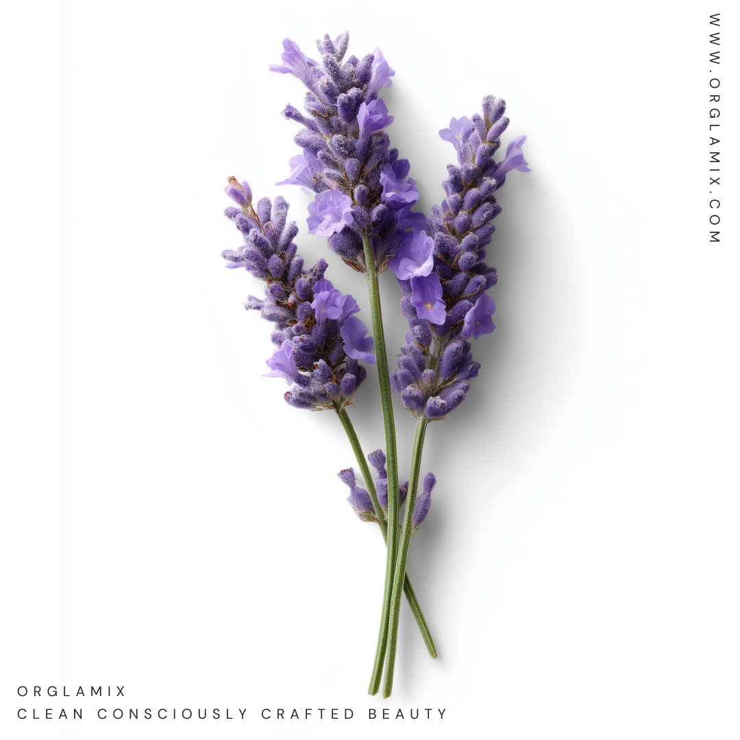 Lavender: Nature’s Calming Remedy for Skin, Hair & Mind | Orglamix.com