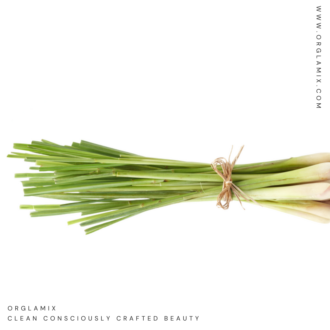 Lemongrass: Nature’s Antibacterial Powerhouse for Skin, Hair & Mind | Orglamix.com