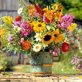 Natural Mineral Cosmetics | Mineral Makeup | MAY FLOWERS