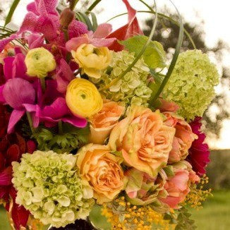 {lookbook} Indian Summer