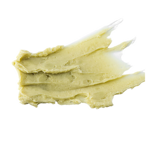 Antioxidant Lip Balm With Matcha Powder | Orglamix.com