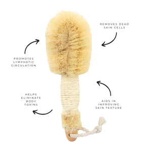 Natural exfoliating body brush for wet & dry brushing | Orglamix.com